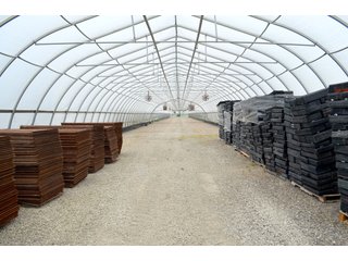 Property photo 54 - GREENHOUSE FARM AUCTION IN HENRY COUNTY, OHIO